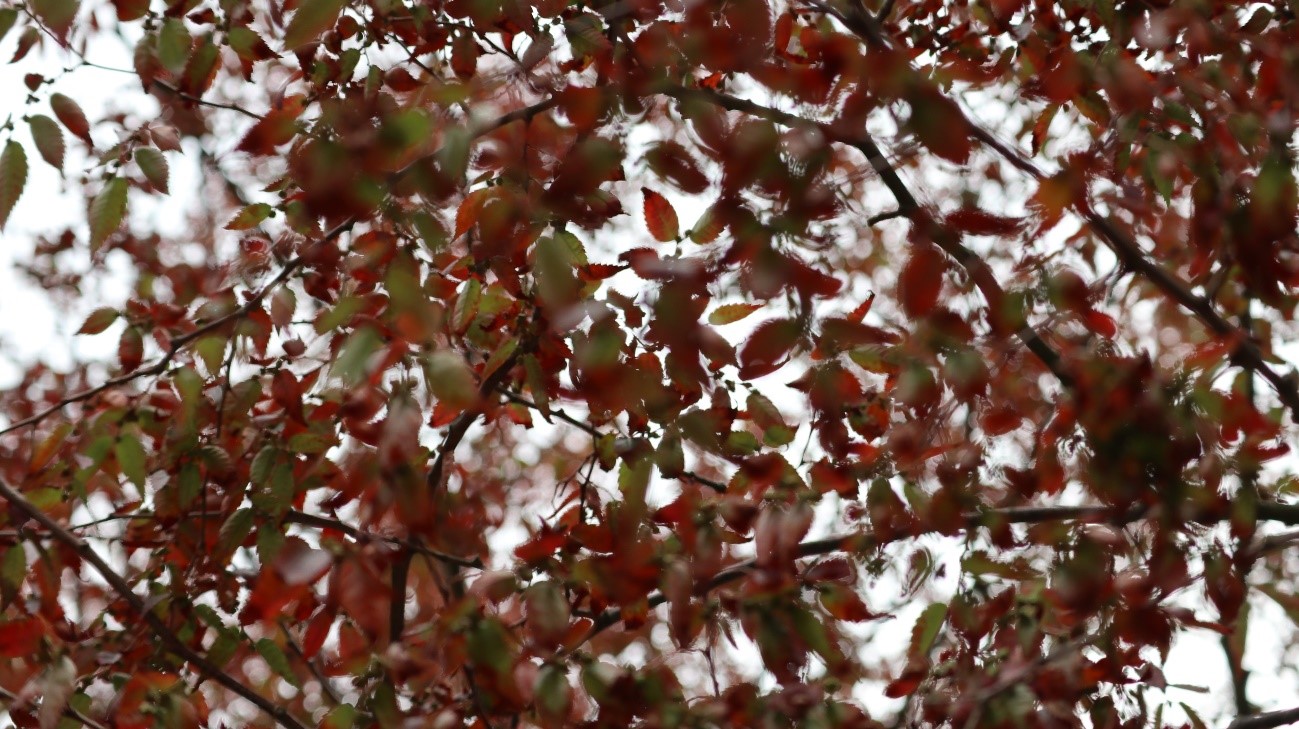 2018年　教育部会　9月報告（詳細は写真をクリック）